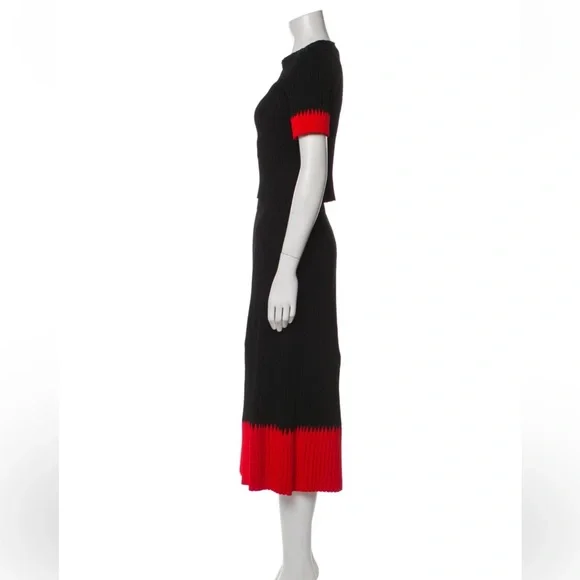 Alexander McQueen Black and Red Skirt Set